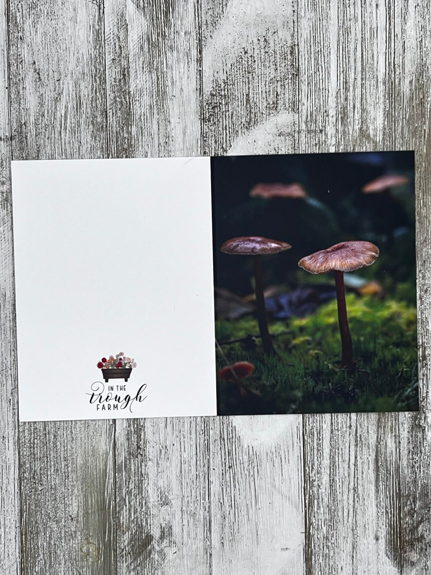 Folded Notecard - Mushrooms image 2