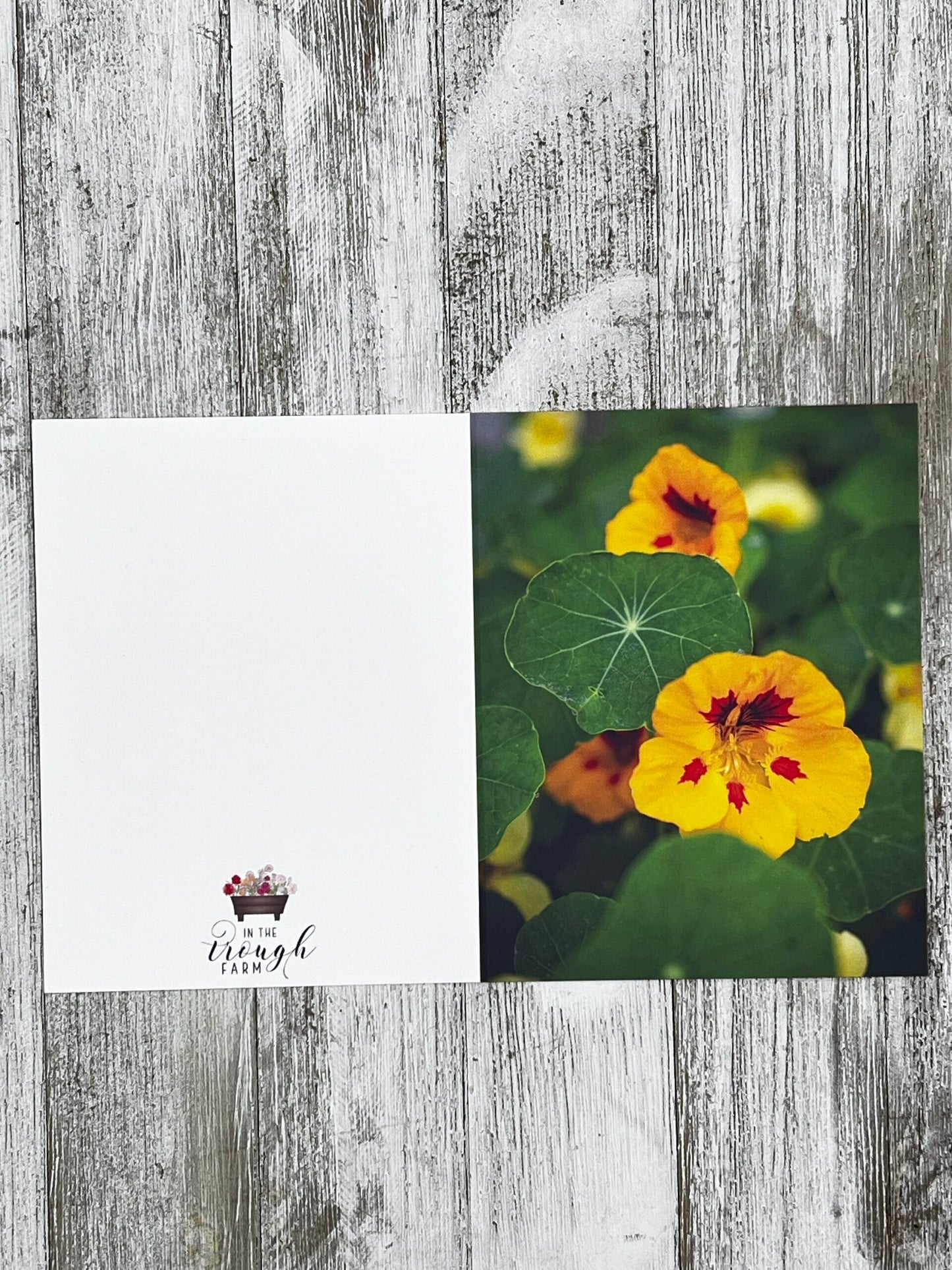 Folded Notecard - Nasturtiums image 1