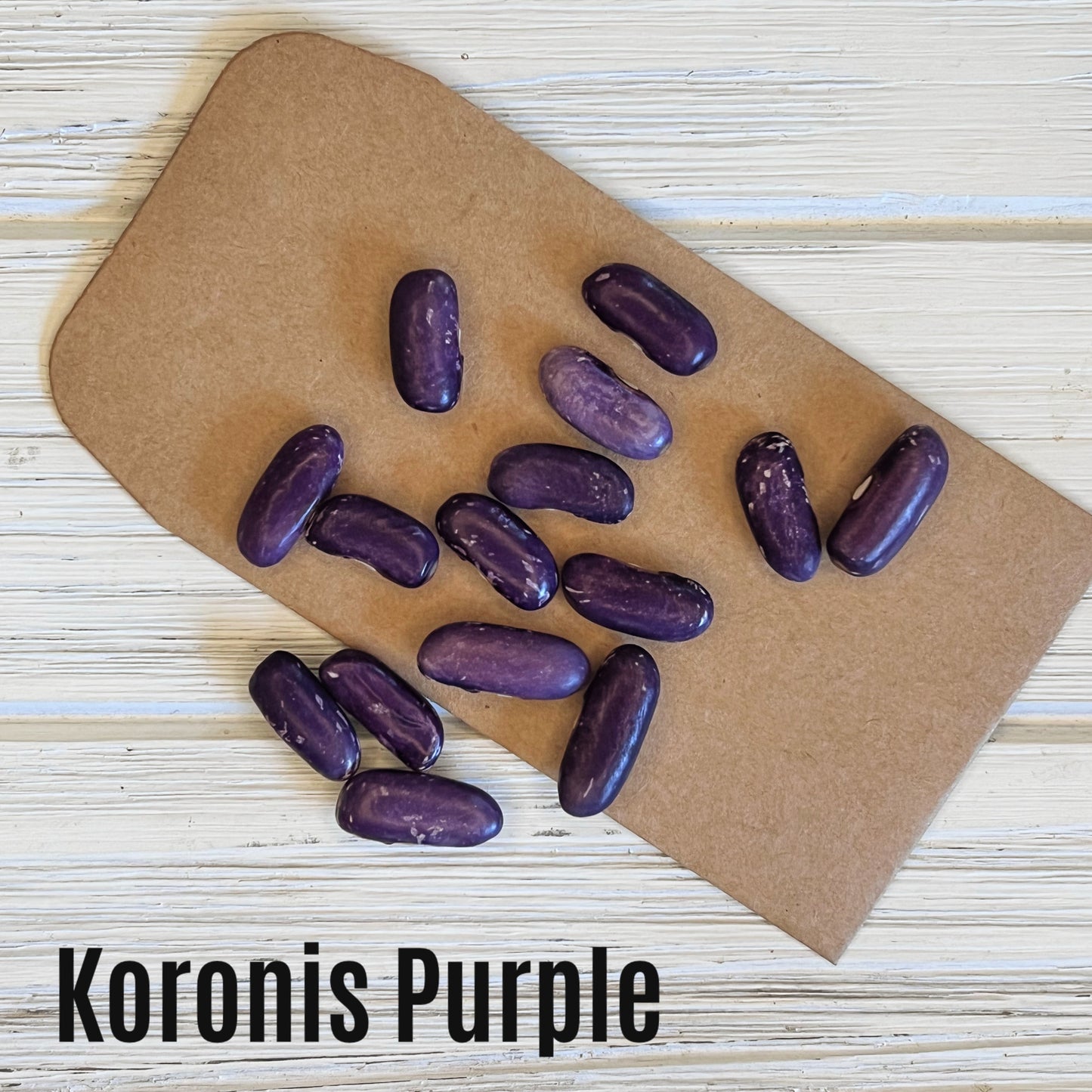 Koronis Purple image 1