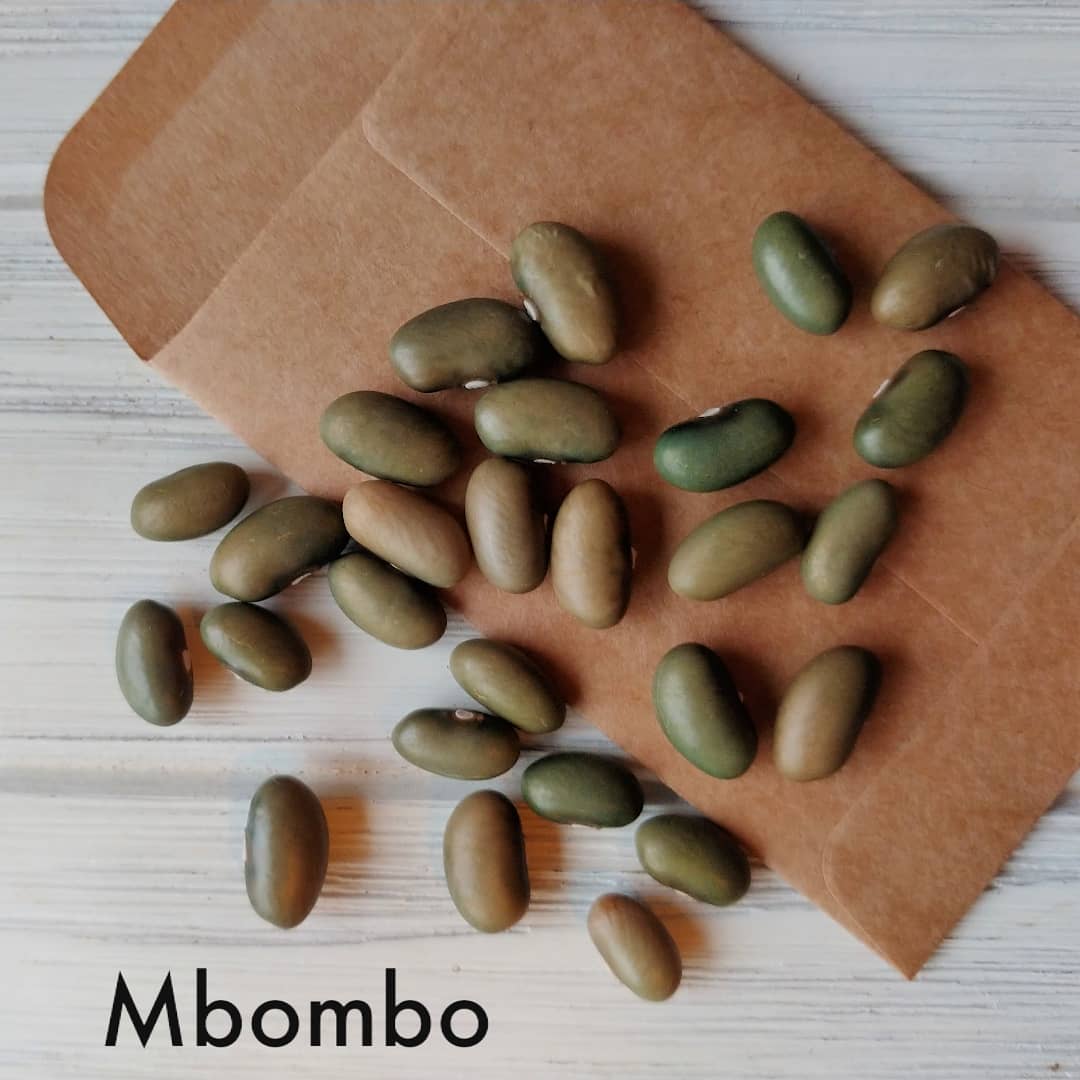 Mbombo Green Bean image 0