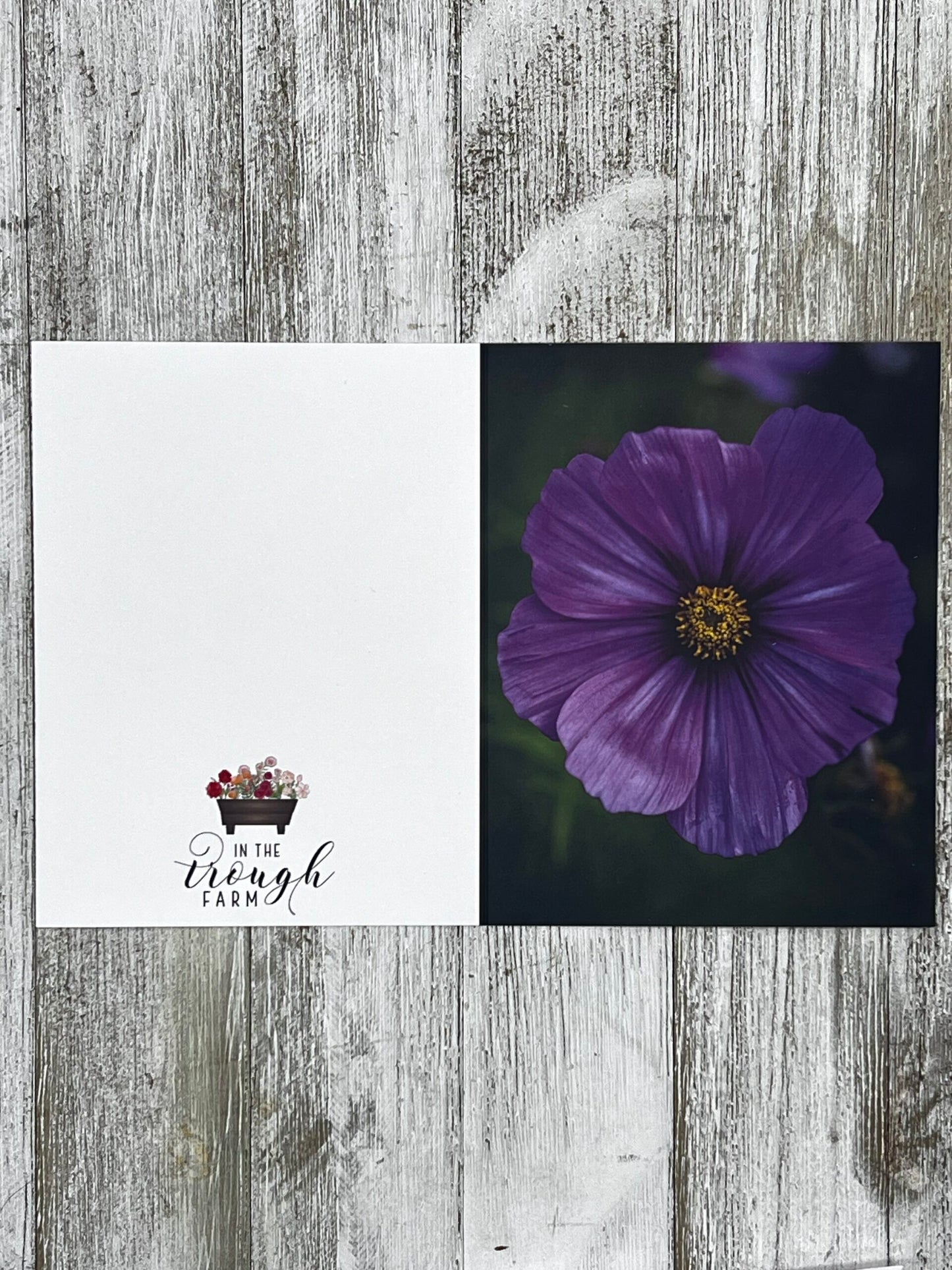 Folded Notecard - Cosmos image 1