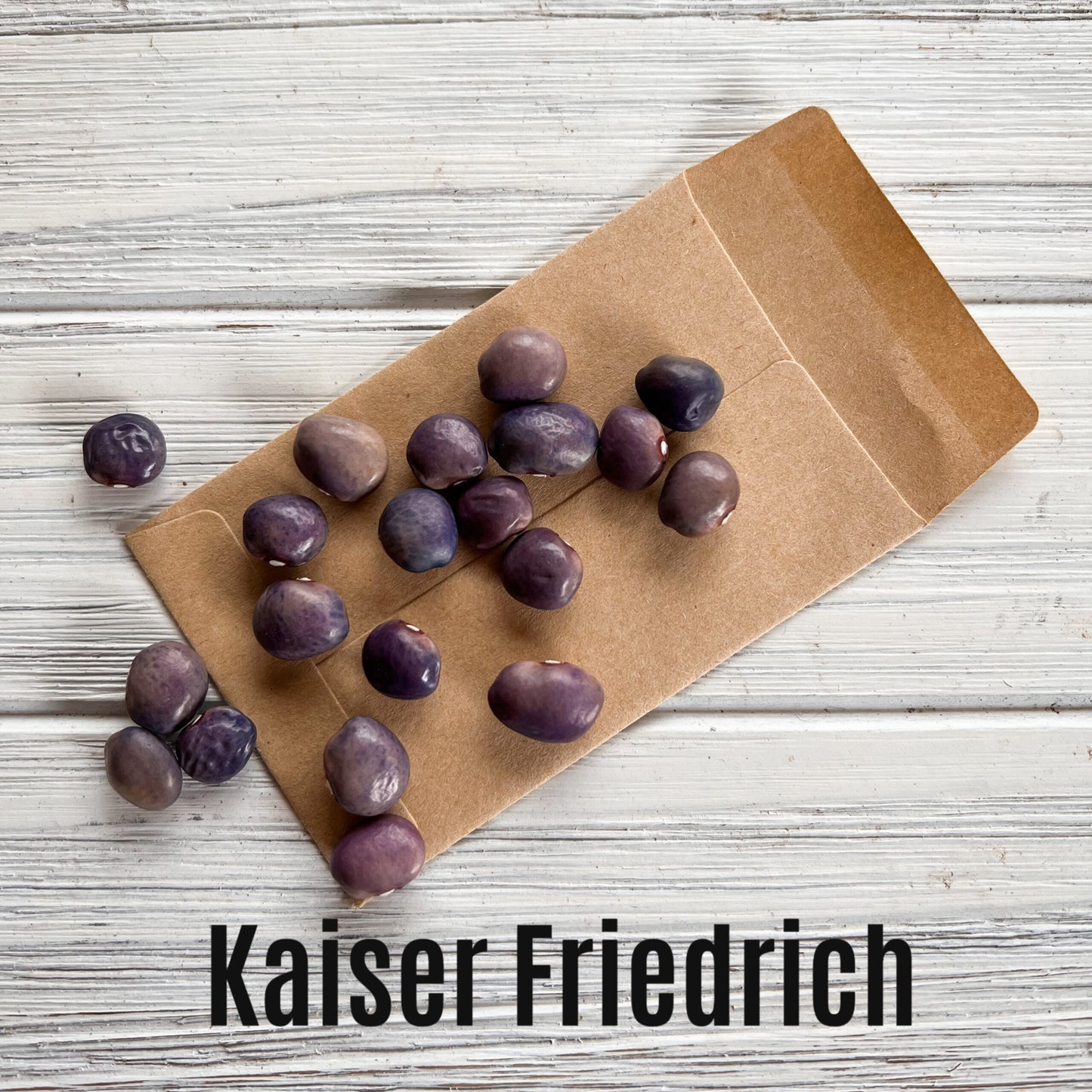 Kaiser Friedrich image 1