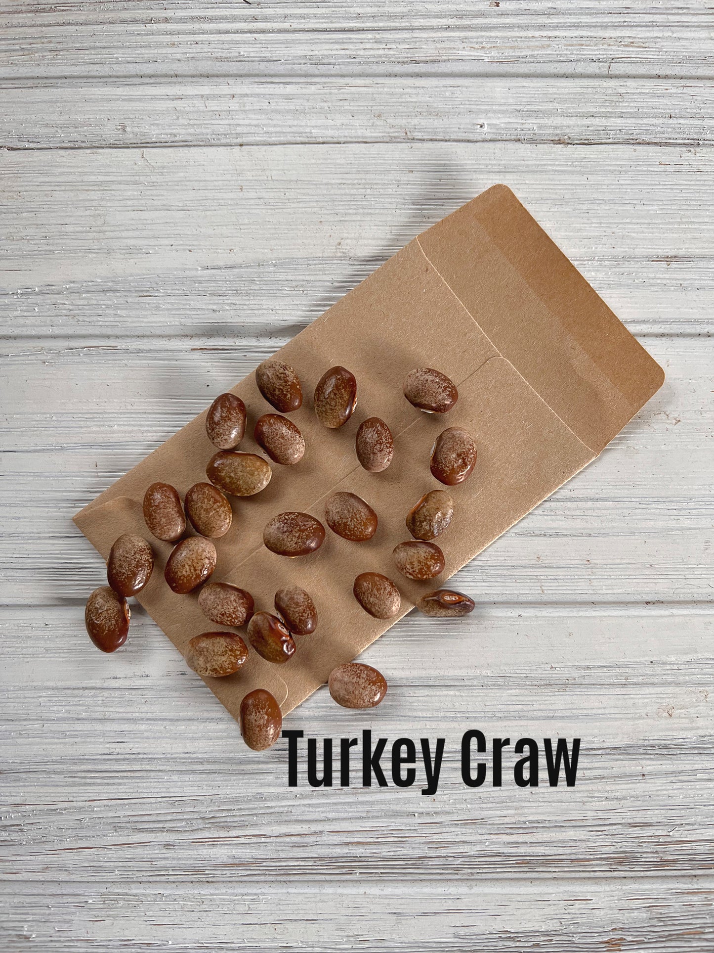 Turkey Craw Bean image 1