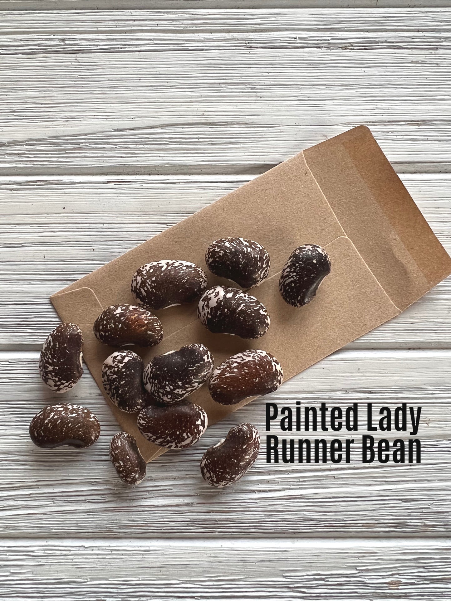 Painted Lady Runner image 0