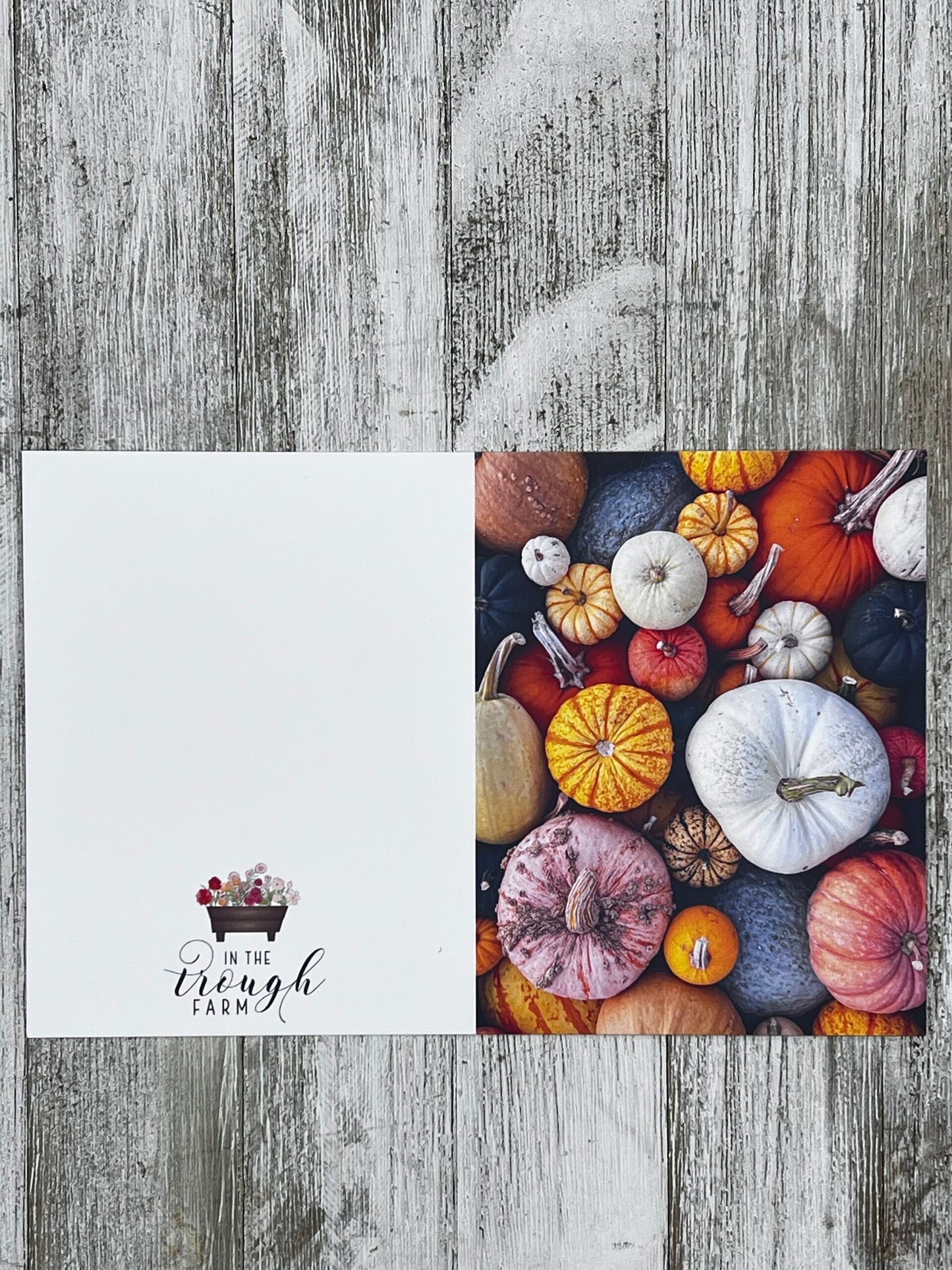 Folded Notecard - Pumpkin Flatlay image 1