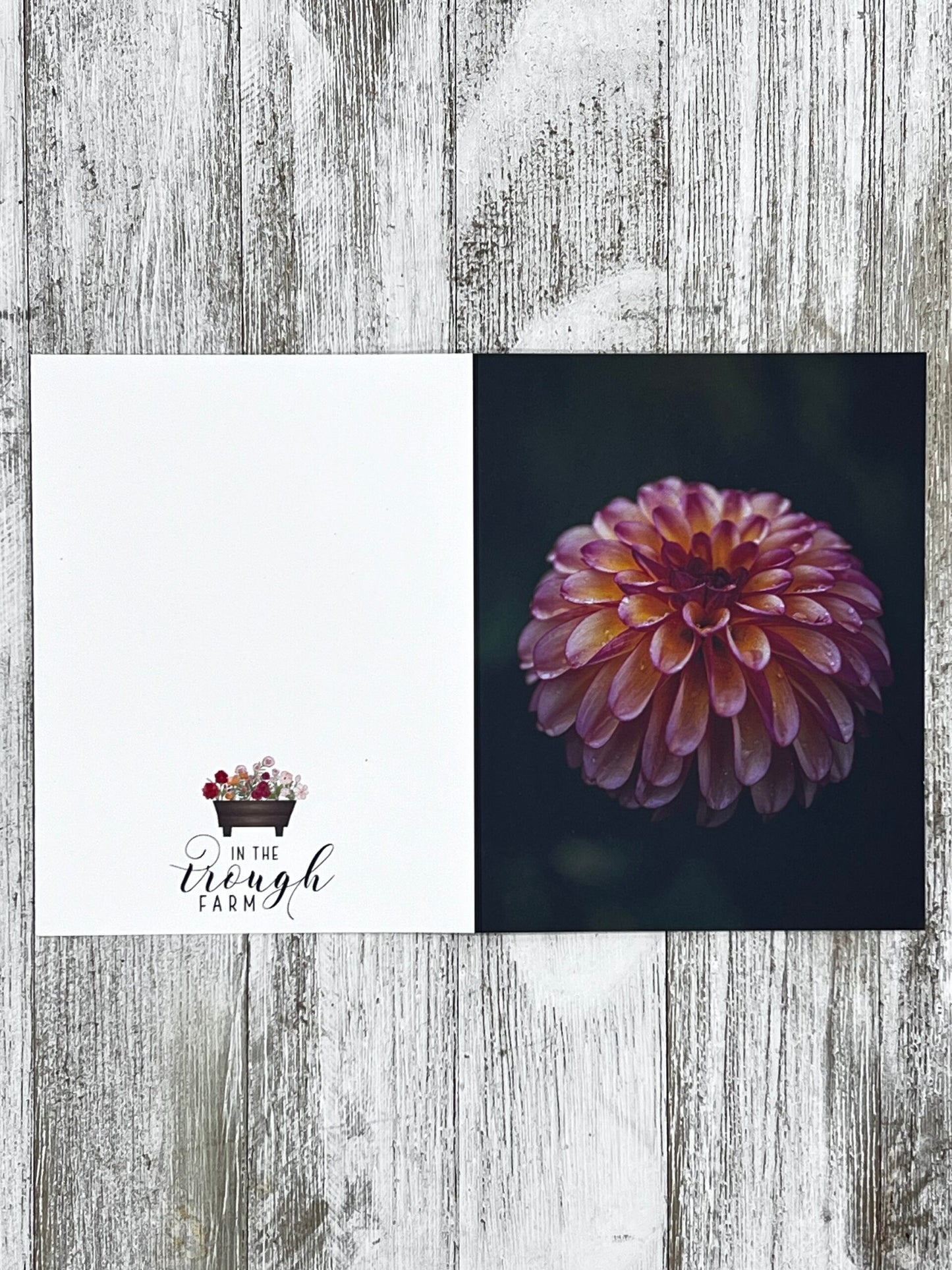 Folded Notecard - Dahlia Foxy Lady image 1