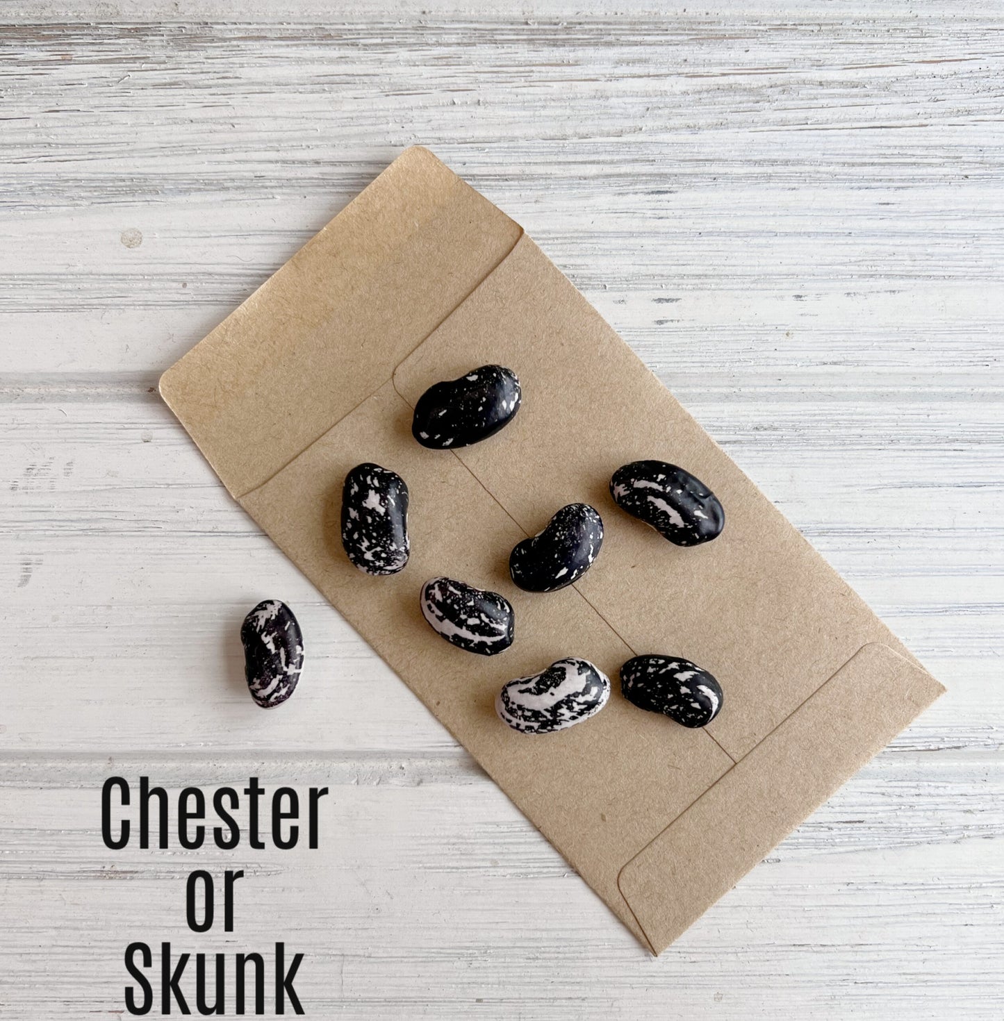 Chester or Skunk bean image 1
