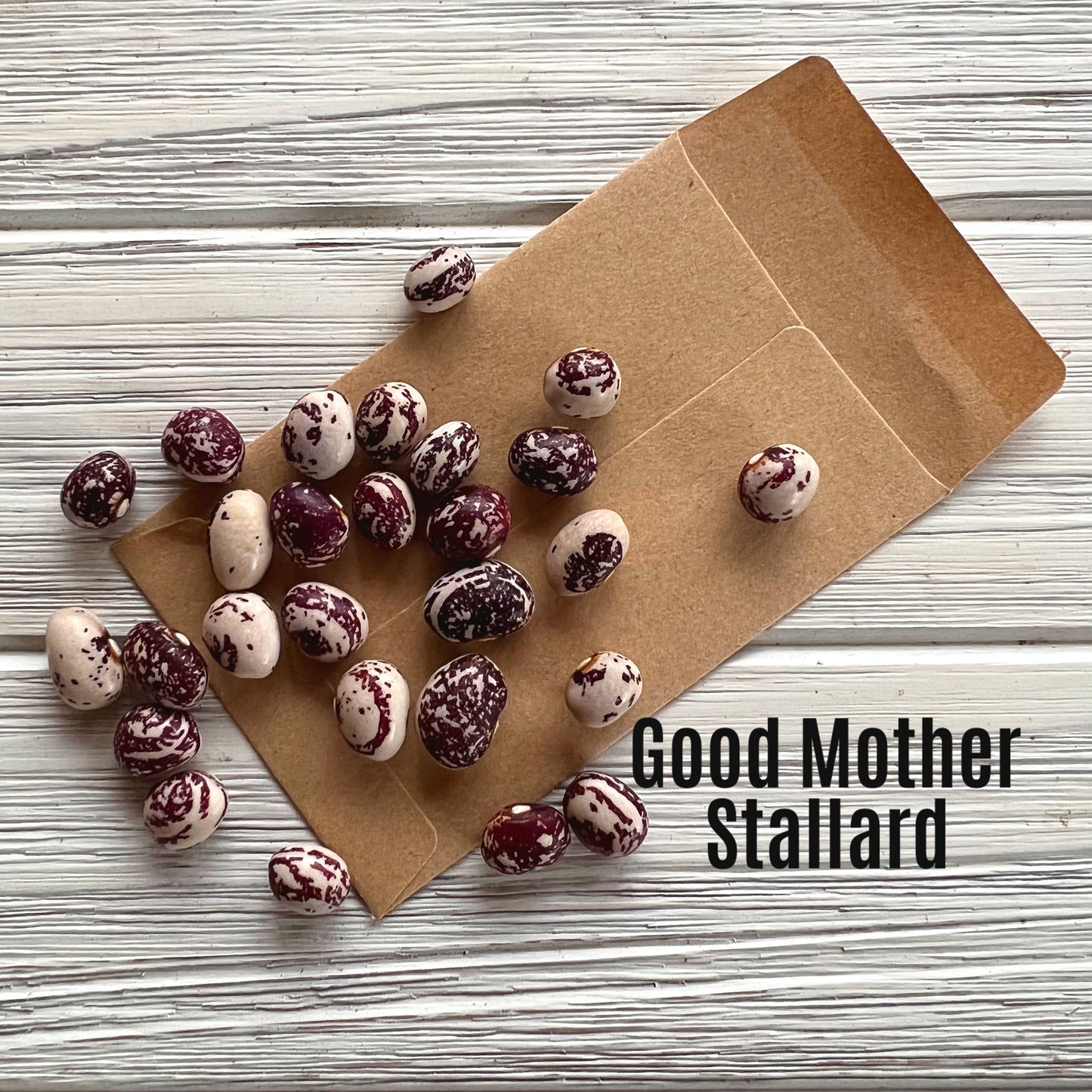 Good Mother Stallard Bean image 0