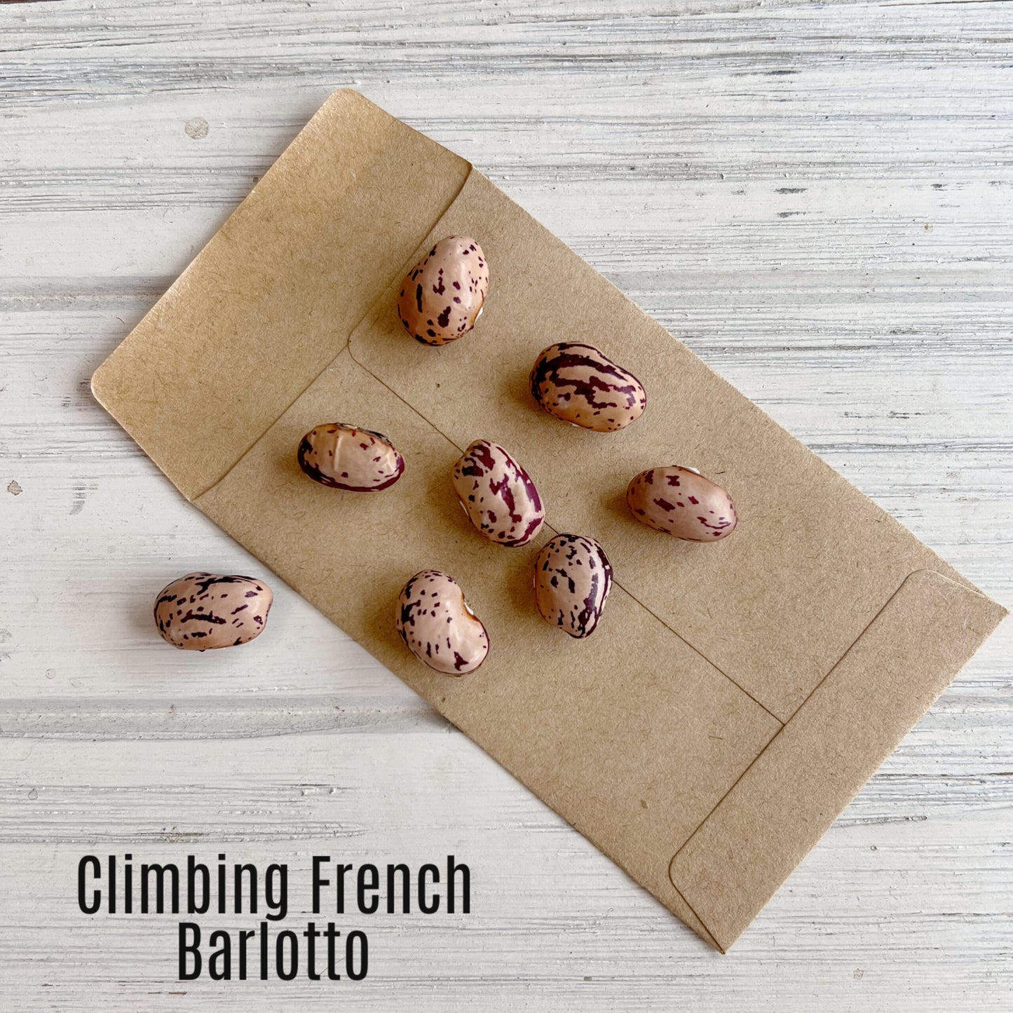 Climbing French Barlotti image 1