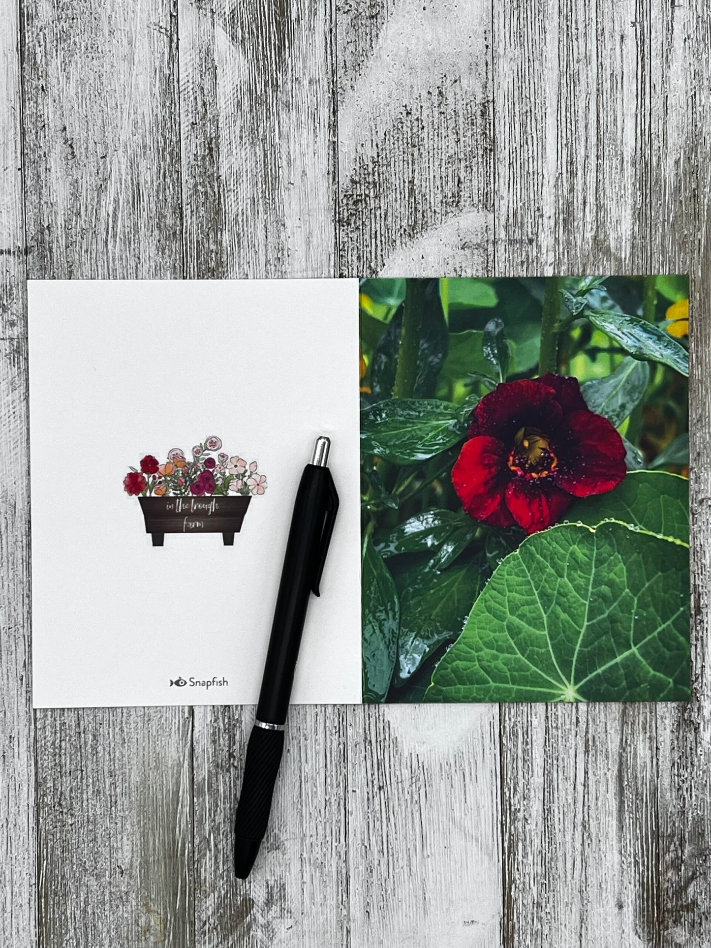 Folded Notecard - Red Nasturtium image 1