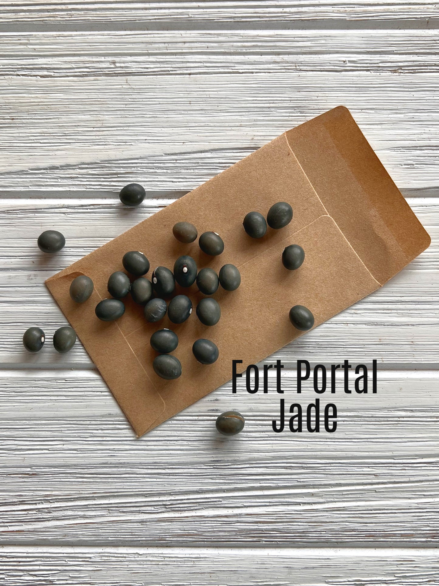 Fort Portal Jade bean image 0