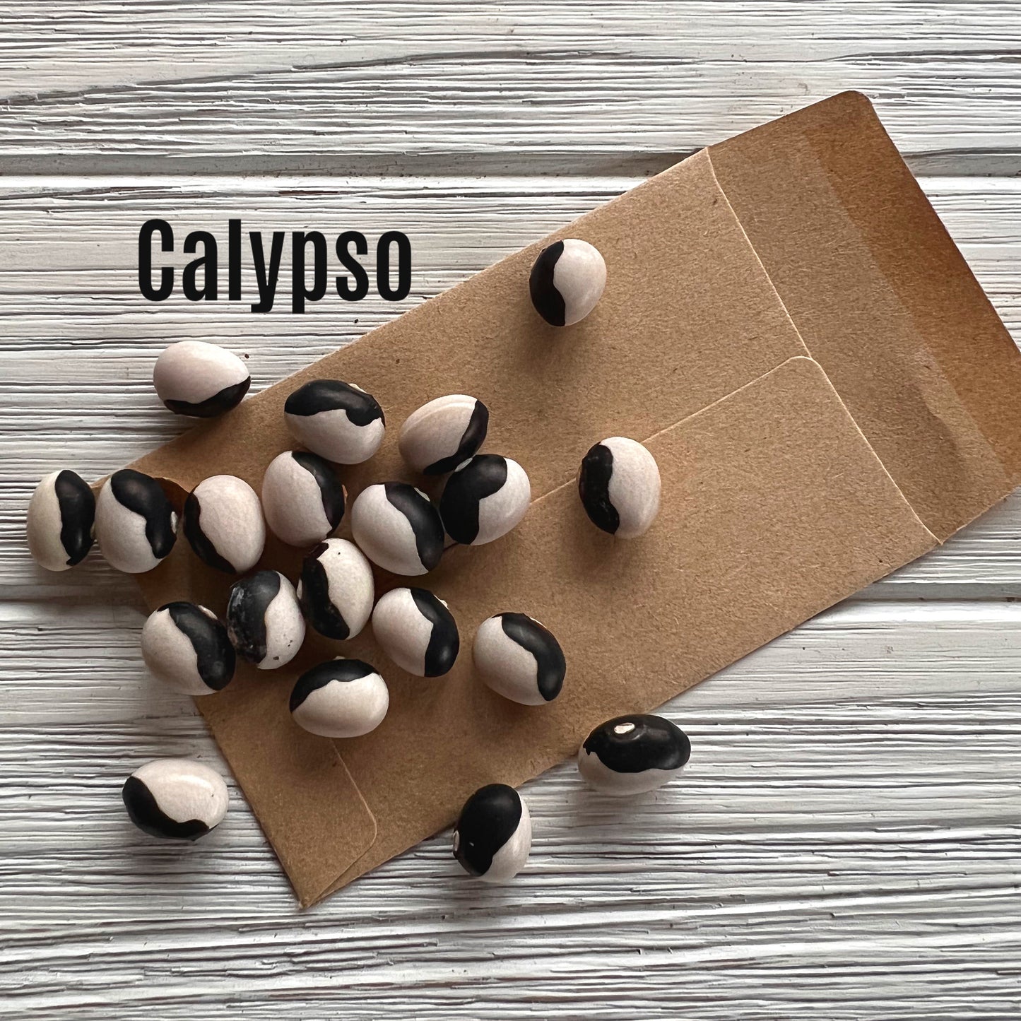 Calypso bean image 1
