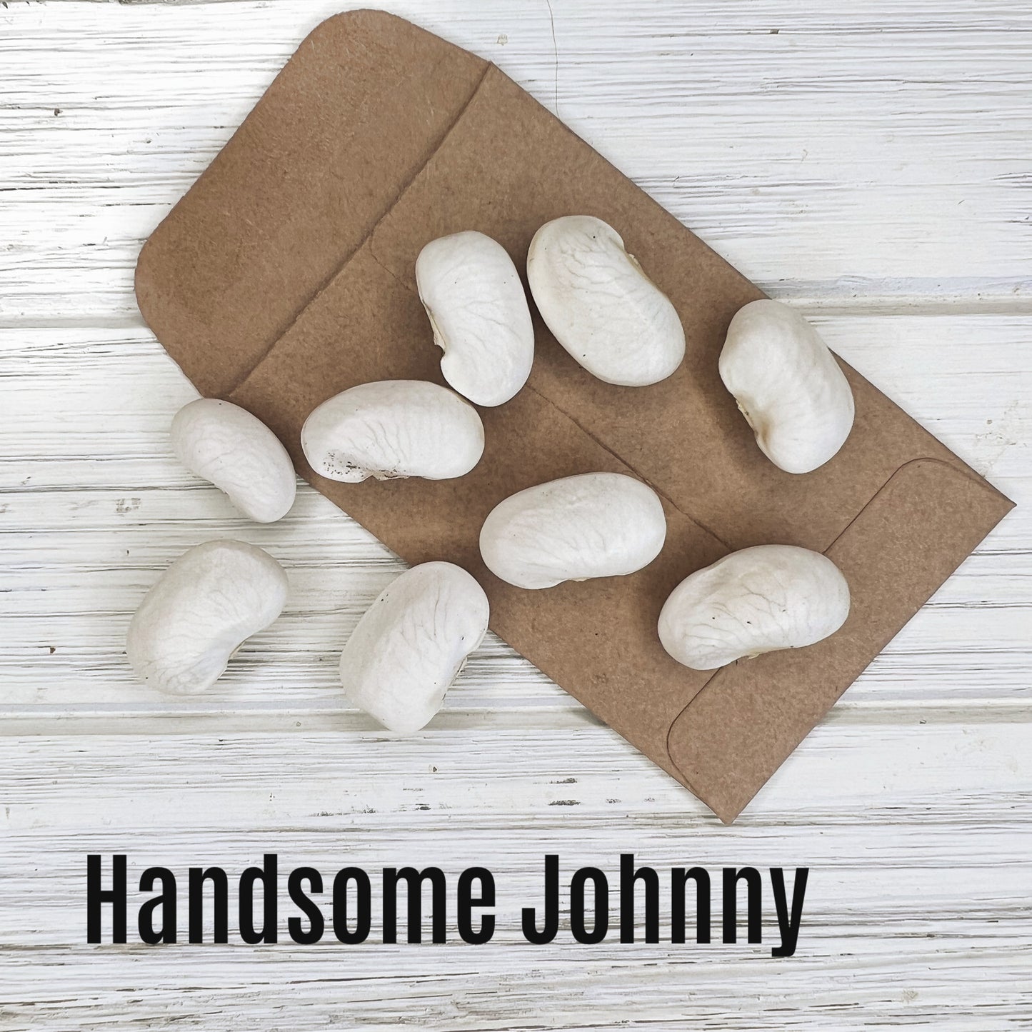 Handsome Johnny image 1