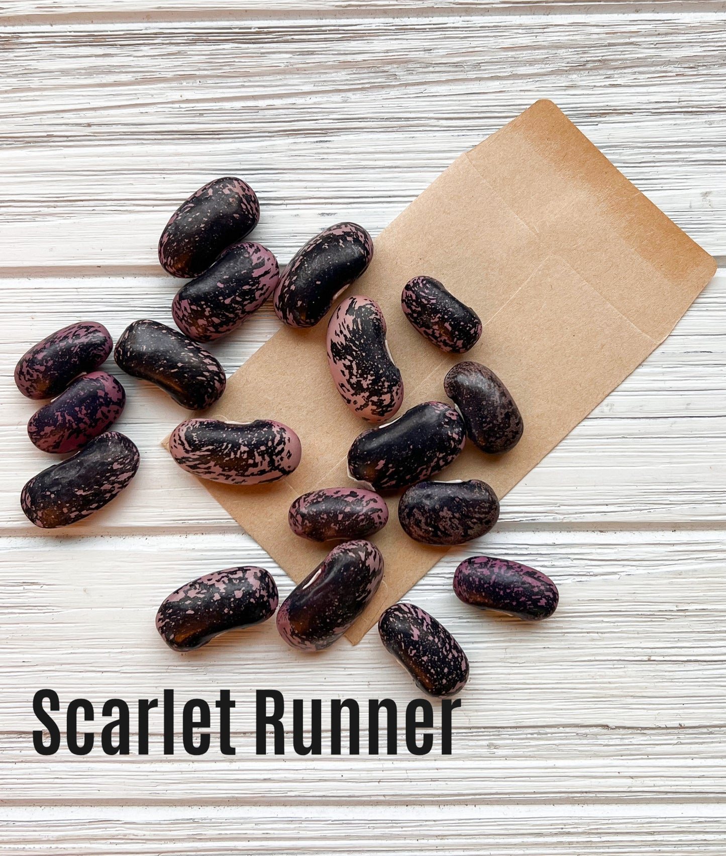 Scarlet Runner image 1