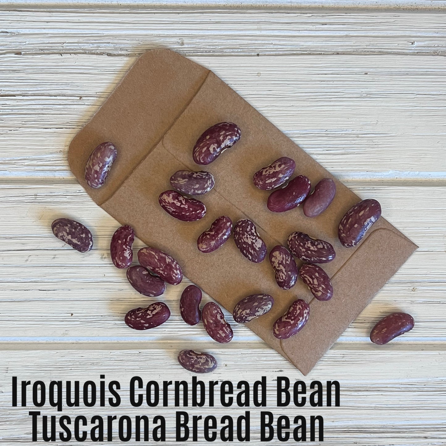 Iroquois Cornbread Bean image 1