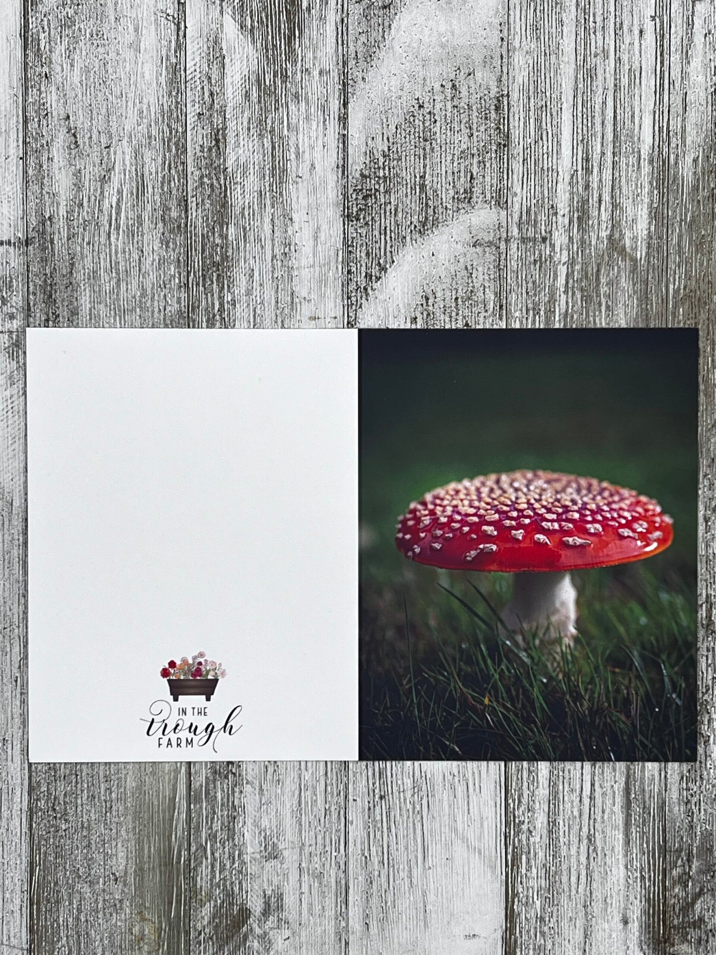 Folded Notecard - Mushroom image 1