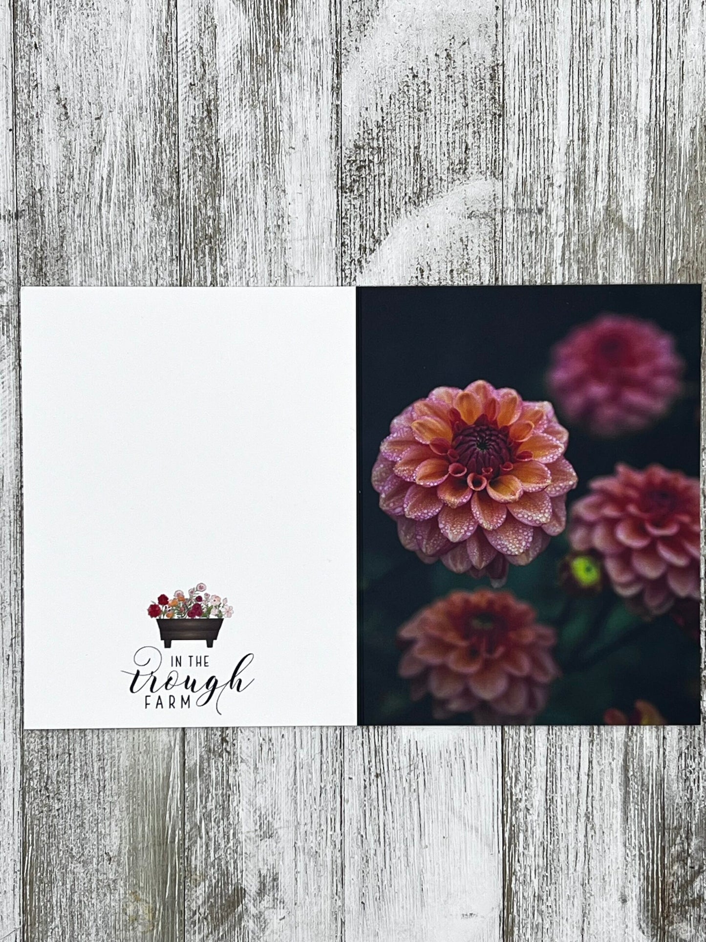 Folded Notecard - Dahlia Iced Tea image 1
