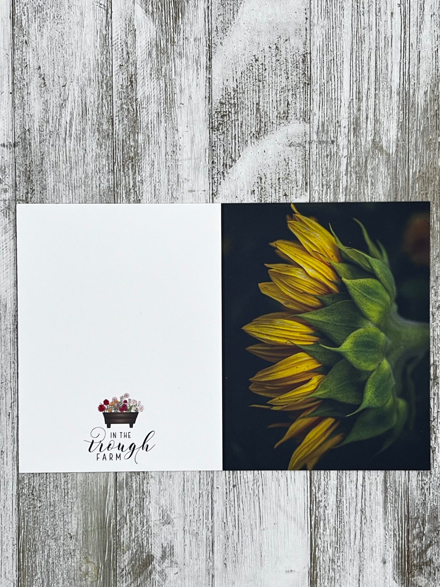 Folded Notecard - Sunflower from above image 1